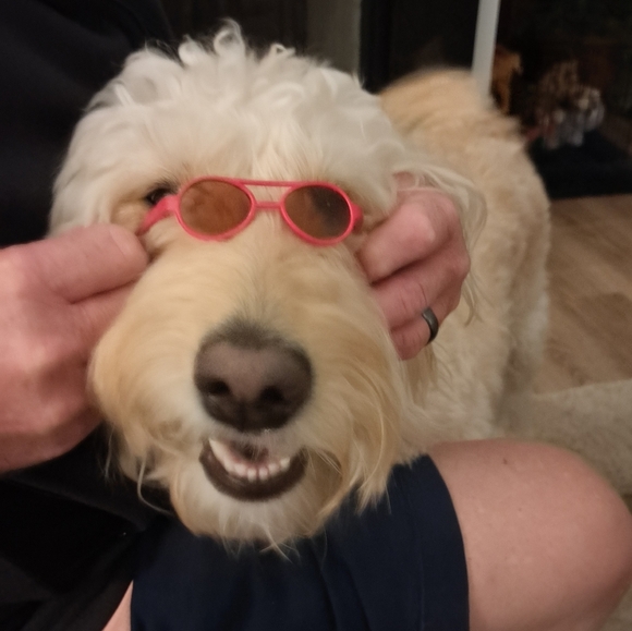 Meet your Posher, June - Picture 7 of 7